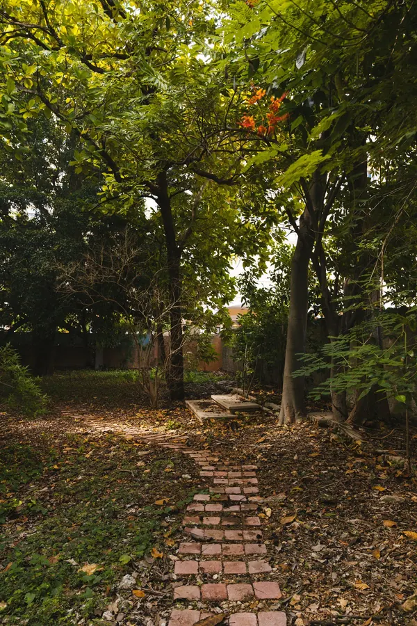 La vereda de ladrillo entre los árboles