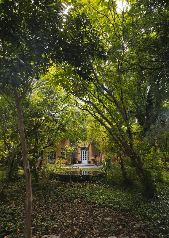 La casa vista desde el jardín, escondida entre los árboles