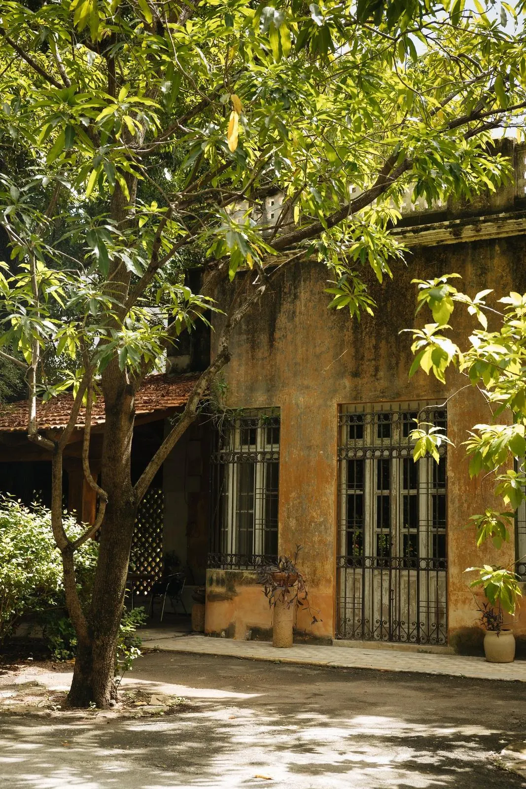 La fachada con la ventana bajo el árbol
